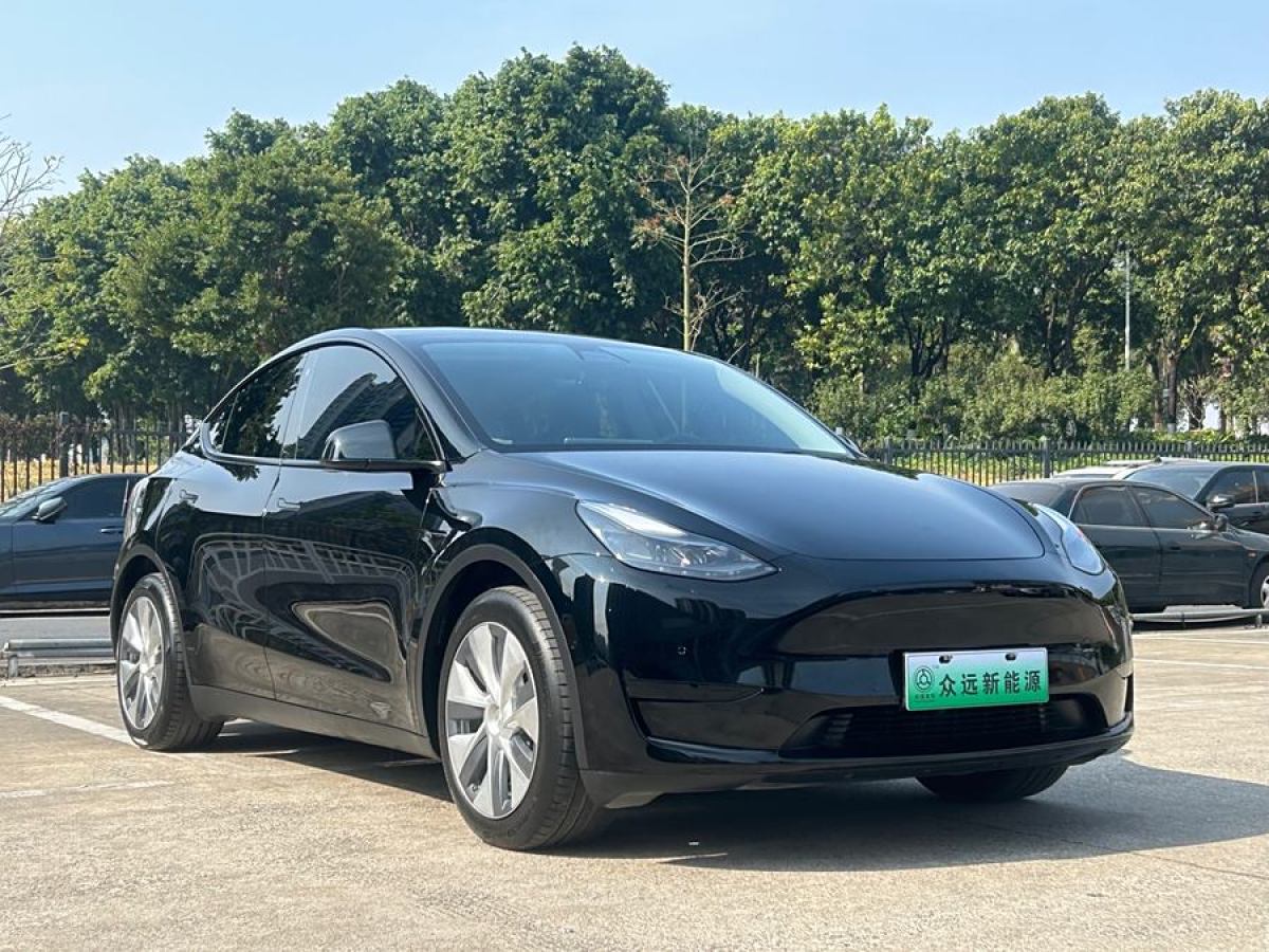 特斯拉 Model 3  2022款 后輪驅(qū)動版圖片