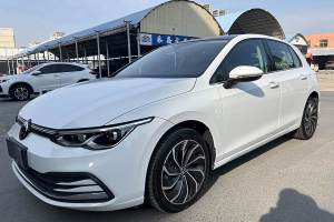 高爾夫 大眾 改款 280TSI DSG Pro