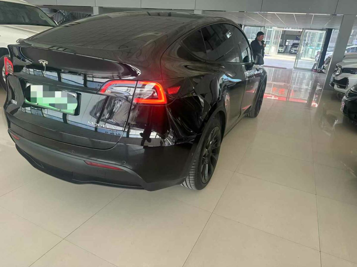 特斯拉 Model S  2023款 三電機(jī)全輪驅(qū)動(dòng) Plaid版圖片