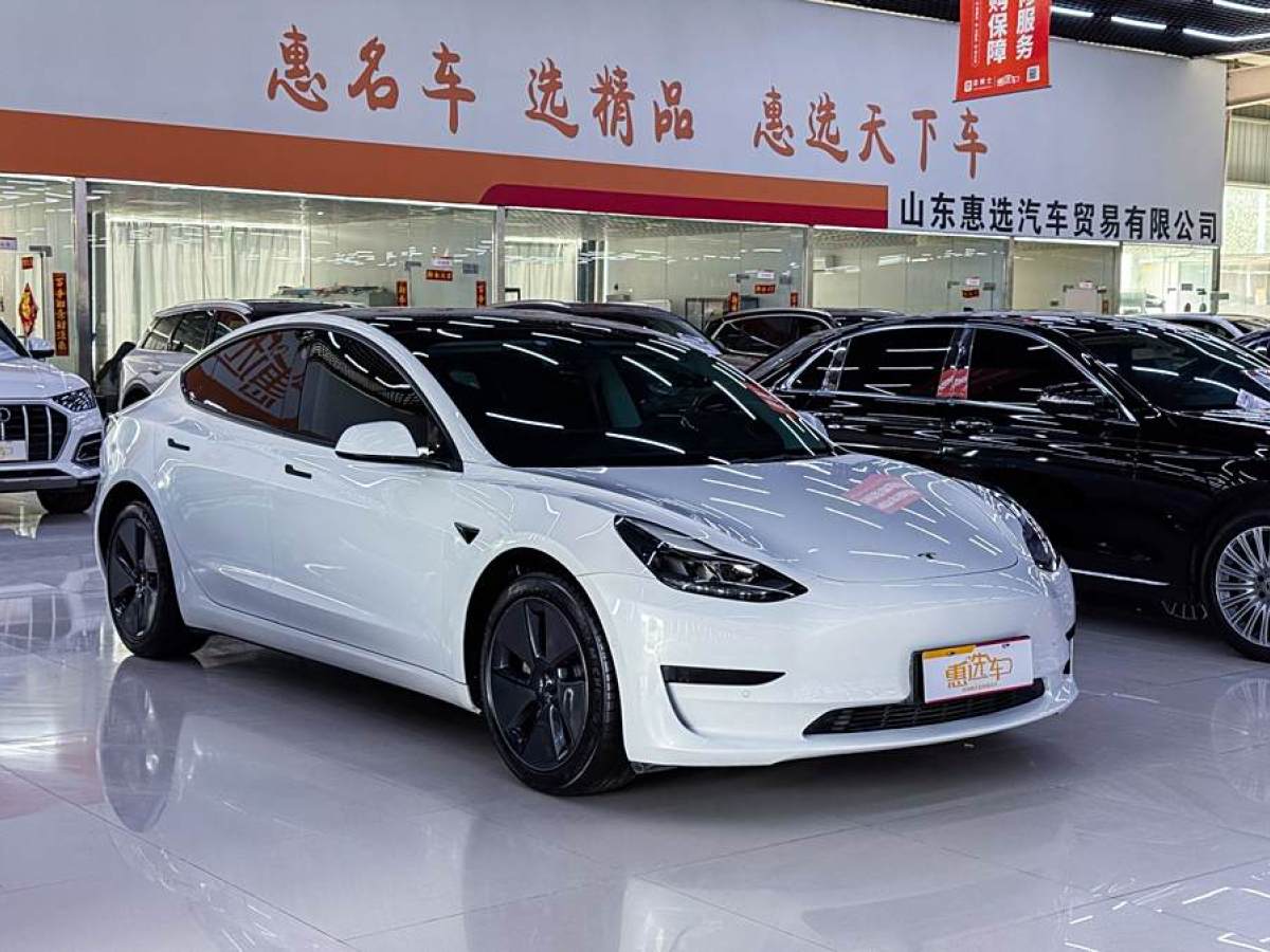 特斯拉 Model 3  2021款 標準續(xù)航后驅升級版 3D6圖片