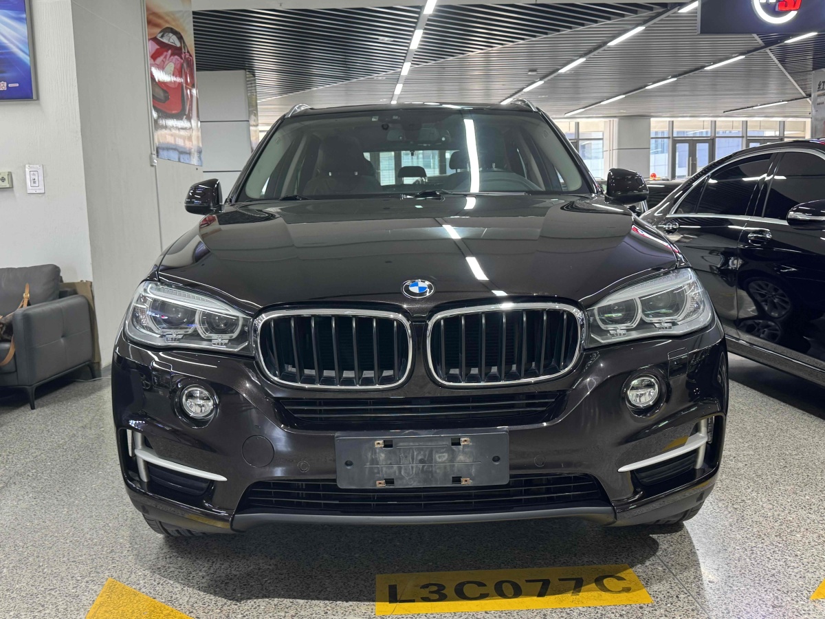 寶馬 寶馬X5  2014款 xDrive35i 領(lǐng)先型圖片