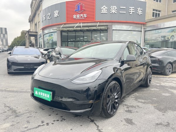 特斯拉 Model Y  2022款 Performance高性能全轮驱动版