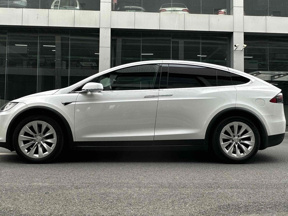 特斯拉 Model X  2020款 長續(xù)航升級(jí)版圖片