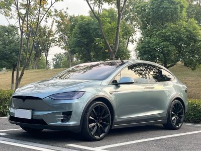 2017年1月 特斯拉 Model X Model X 90D圖片