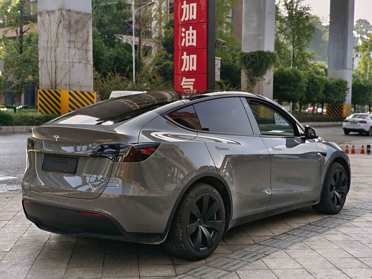 特斯拉 Model Y  2020款 改款 長(zhǎng)續(xù)航后輪驅(qū)動(dòng)版圖片