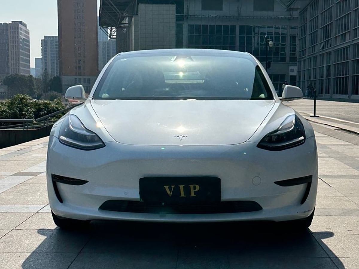 特斯拉 Model 3  2020款 改款 標準續(xù)航后驅升級版圖片