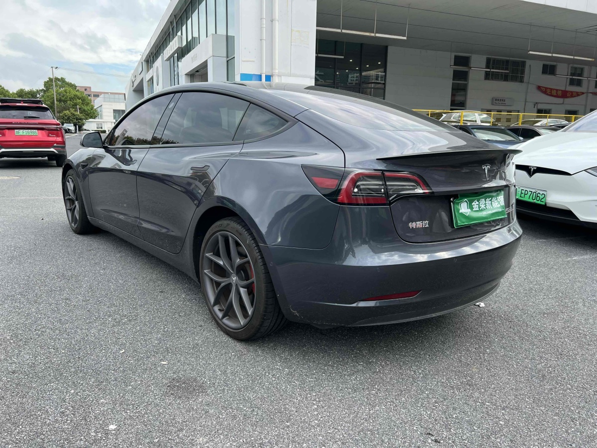 特斯拉 Model 3  2019款 Performance高性能全輪驅(qū)動(dòng)版圖片