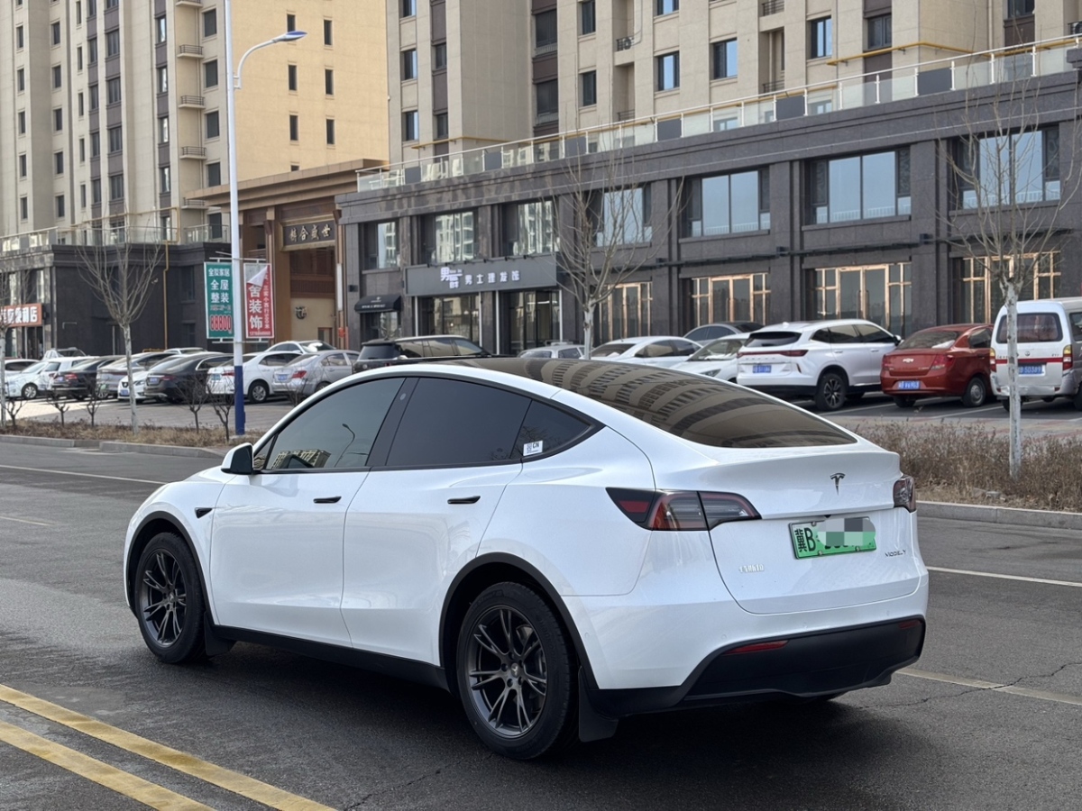 特斯拉 Model Y  2024款 長續(xù)航全輪驅(qū)動版圖片