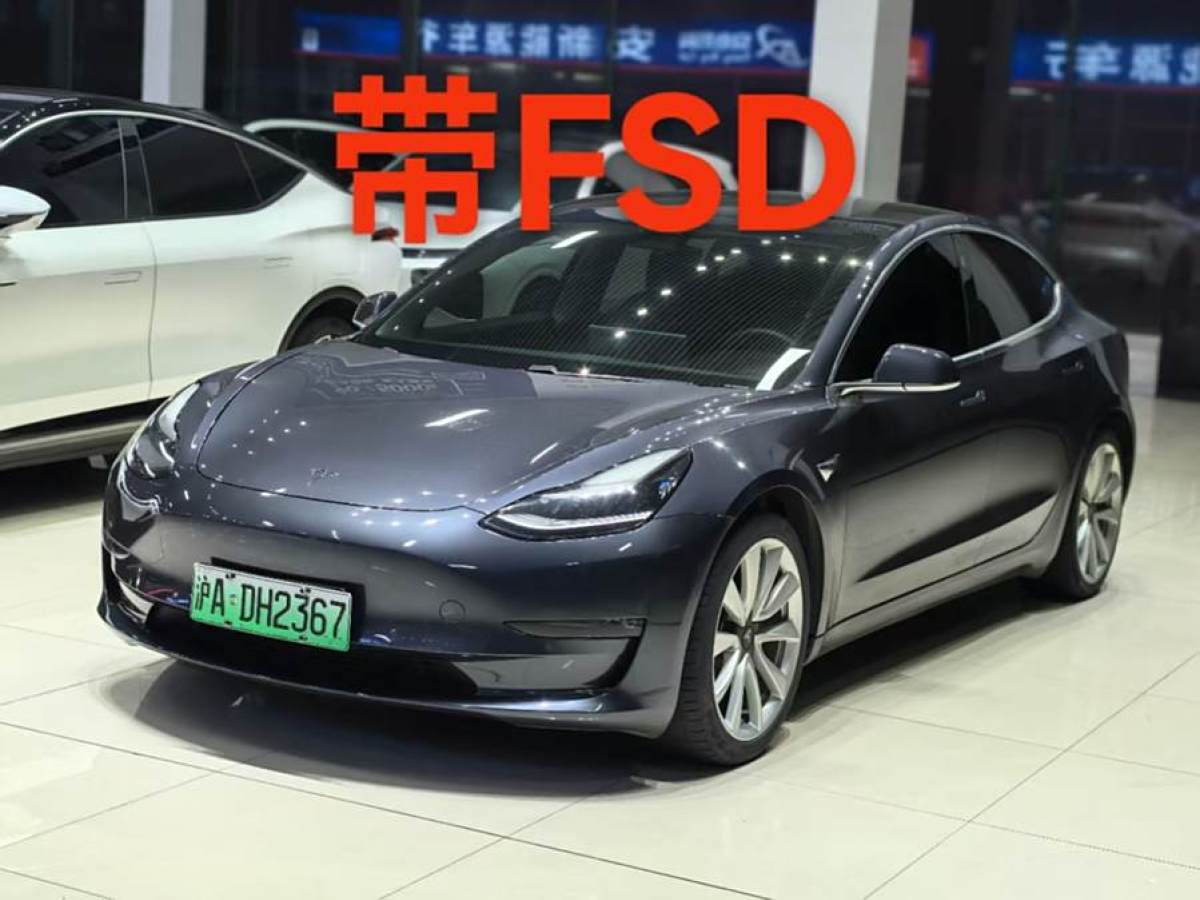 2020年12月特斯拉 Model 3  2020款 改款 長(zhǎng)續(xù)航后輪驅(qū)動(dòng)版