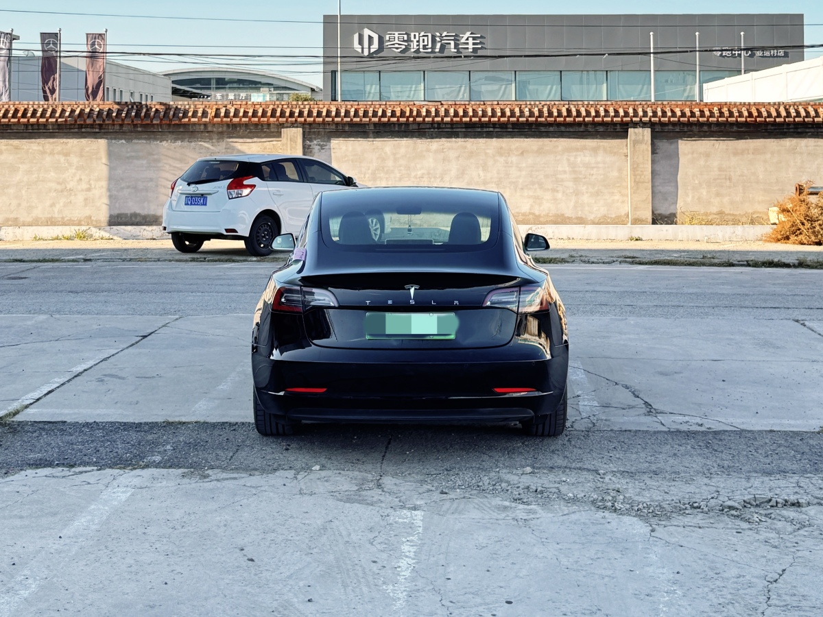 特斯拉 Model 3  2019款 标准续航后驱升级版图片