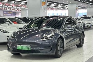 Model 3 特斯拉 改款 長續(xù)航后輪驅(qū)動版