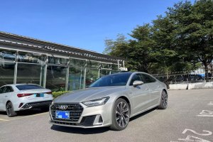 奥迪A7L 奥迪 45 TFSI quattro S-line 圣骑士