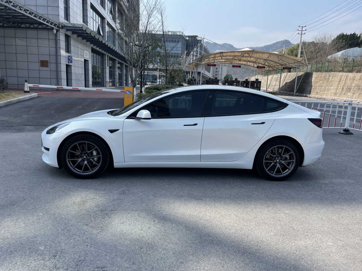 特斯拉 Model 3  2021款 標(biāo)準(zhǔn)續(xù)航后驅(qū)升級(jí)版圖片