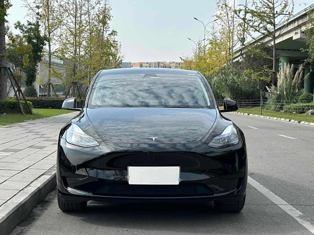 特斯拉 Model Y  2023款 長續(xù)航煥新版 雙電機全輪驅(qū)動圖片