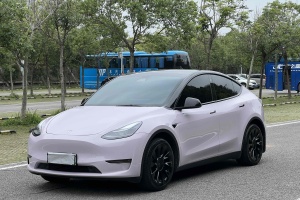 Model Y 特斯拉 標準續(xù)航后驅版