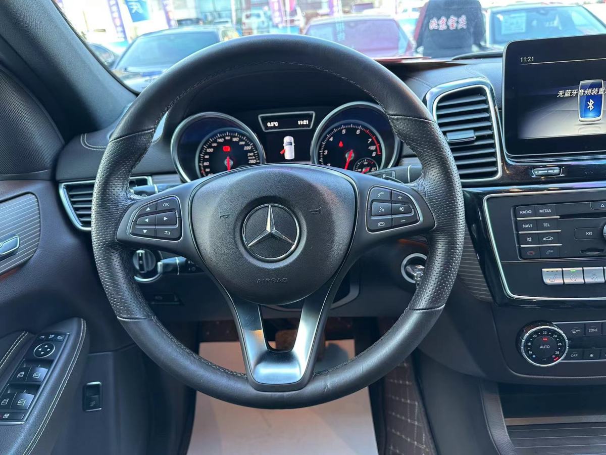 奔驰 奔驰GLE  2019款 GLE 320 4MATIC 动感型臻藏版图片