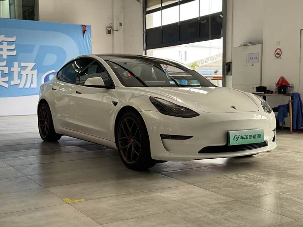 特斯拉 Model 3  2021款 Performance高性能全輪驅(qū)動版 3D6圖片