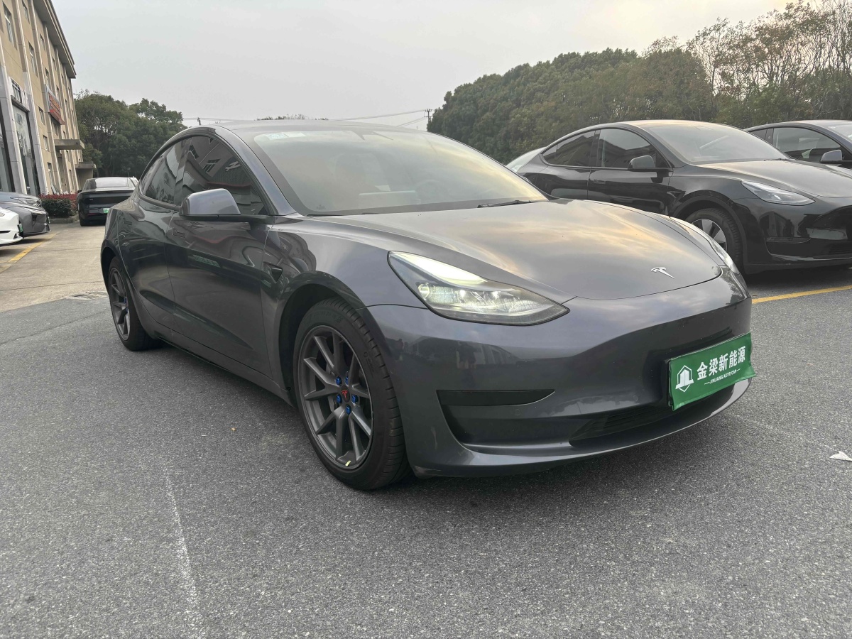 特斯拉 Model 3  2021款 標(biāo)準(zhǔn)續(xù)航后驅(qū)升級(jí)版 3D6圖片