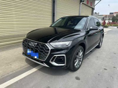 2023年1月 奧迪 奧迪Q5 e-tron 40 e-tron 星耀型 影武士版圖片