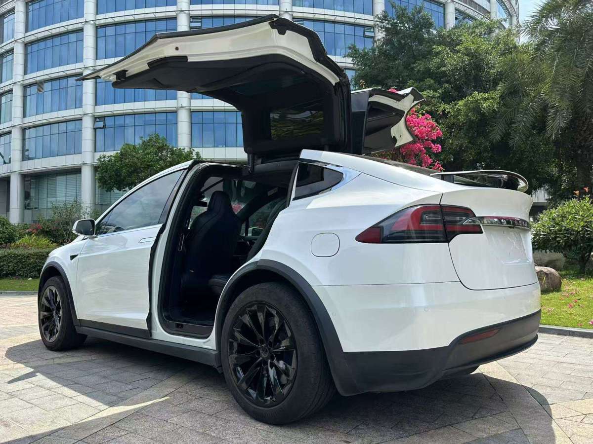 特斯拉 Model X  2017款 Model X 100D 長(zhǎng)續(xù)航版圖片