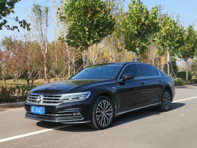 2019年7月 大眾 輝昂 380TSI 兩驅(qū)商務版 國VI圖片