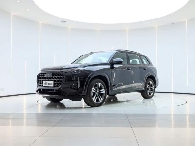 2023年11月 奧迪 奧迪Q6 45 TFSI quattro 齊云型 飛騎套裝圖片