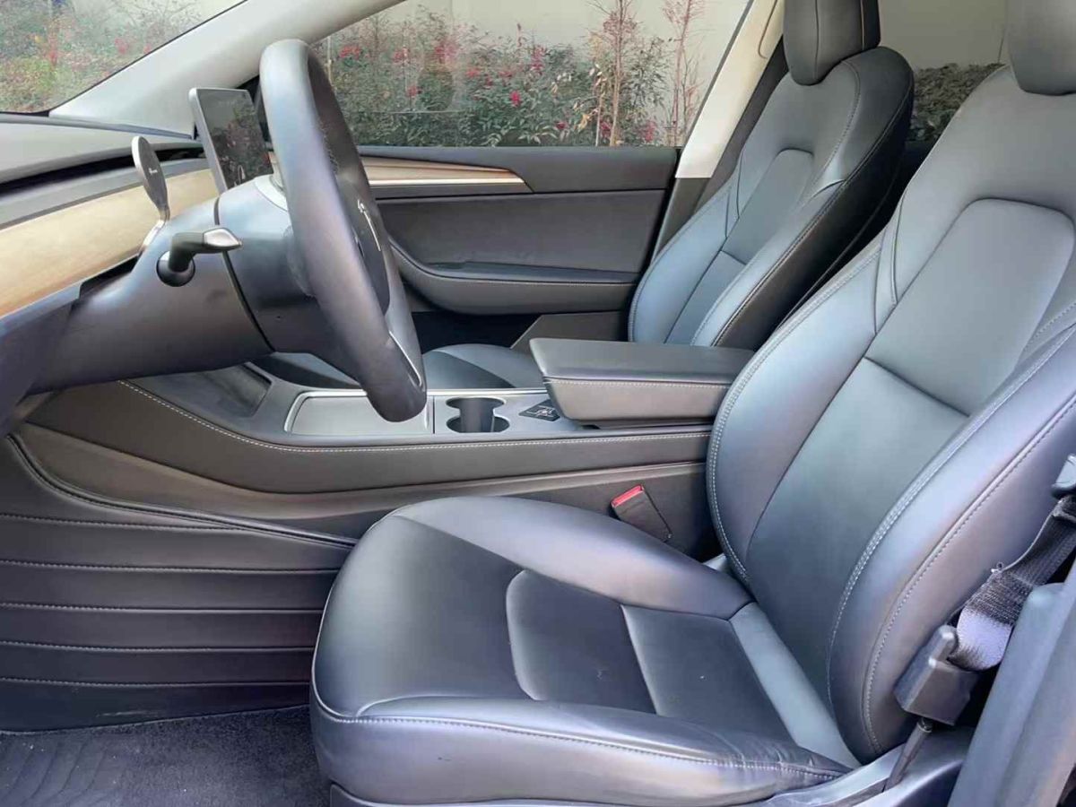 特斯拉 Model S  2021款 Performance 高性能版圖片