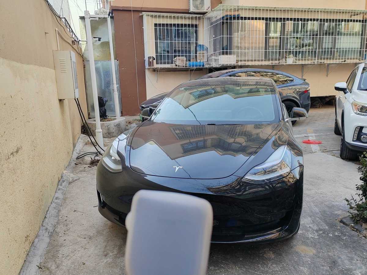 特斯拉 Model 3  2019款 標(biāo)準(zhǔn)續(xù)航后驅(qū)升級版圖片