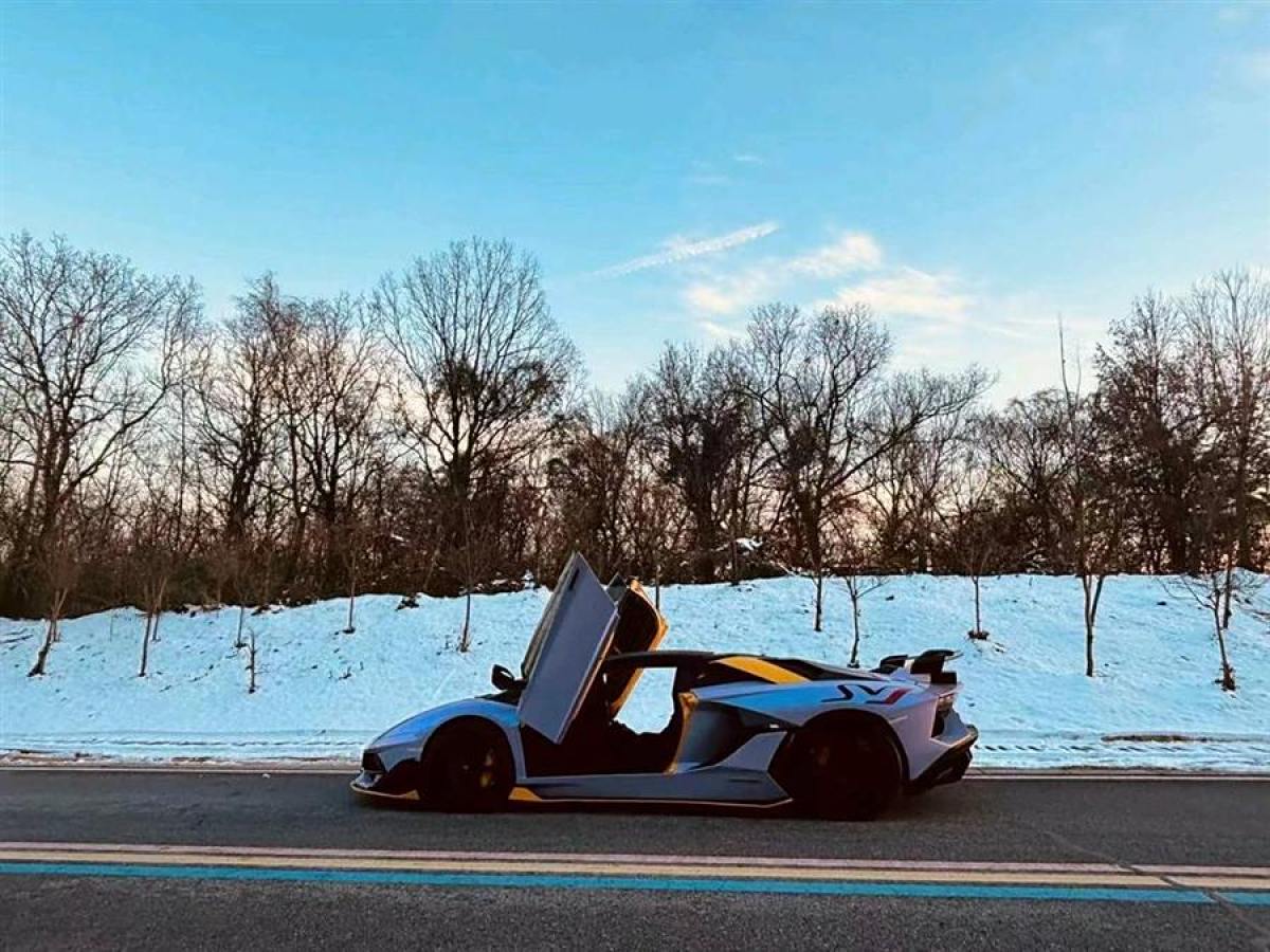 蘭博基尼 Aventador  2013款 LP 700-4 Roadster圖片