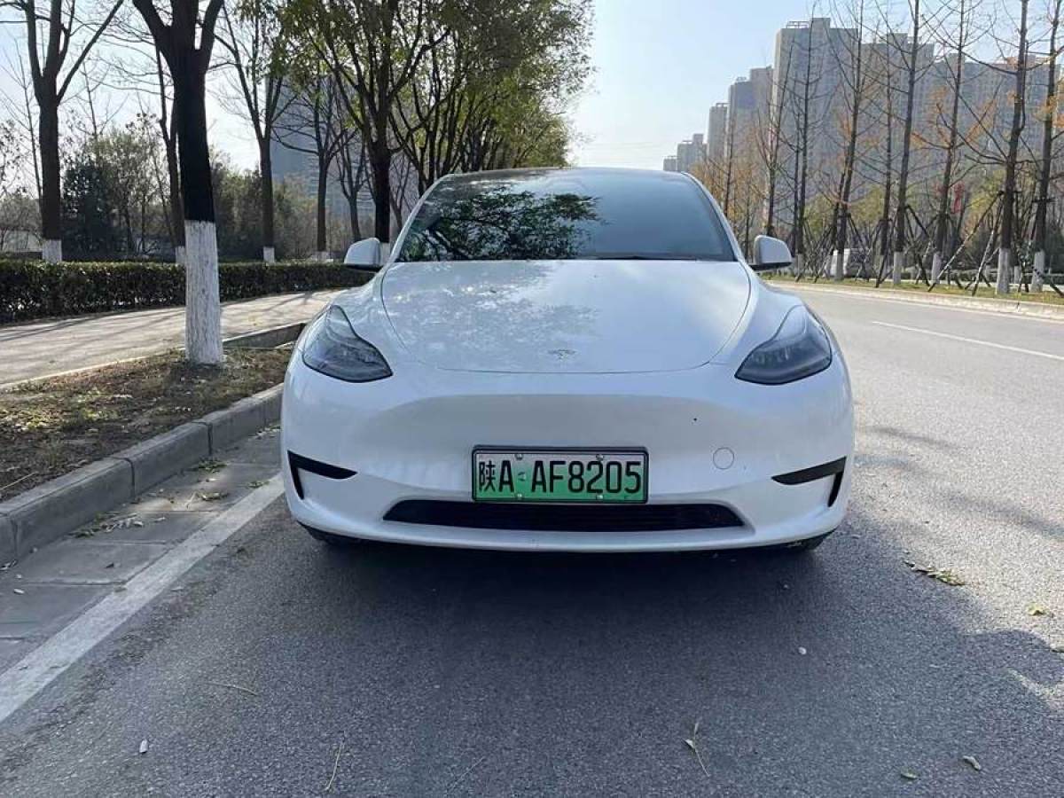 特斯拉 Model 3  2020款 改款 長續(xù)航后輪驅動版圖片