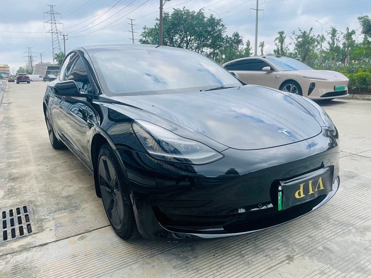 特斯拉 Model 3  2021款 改款 標準續(xù)航后驅升級版圖片