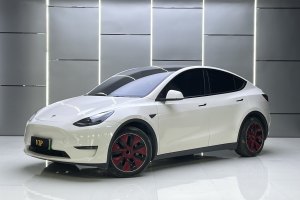 Model Y 特斯拉 后轮驱动版