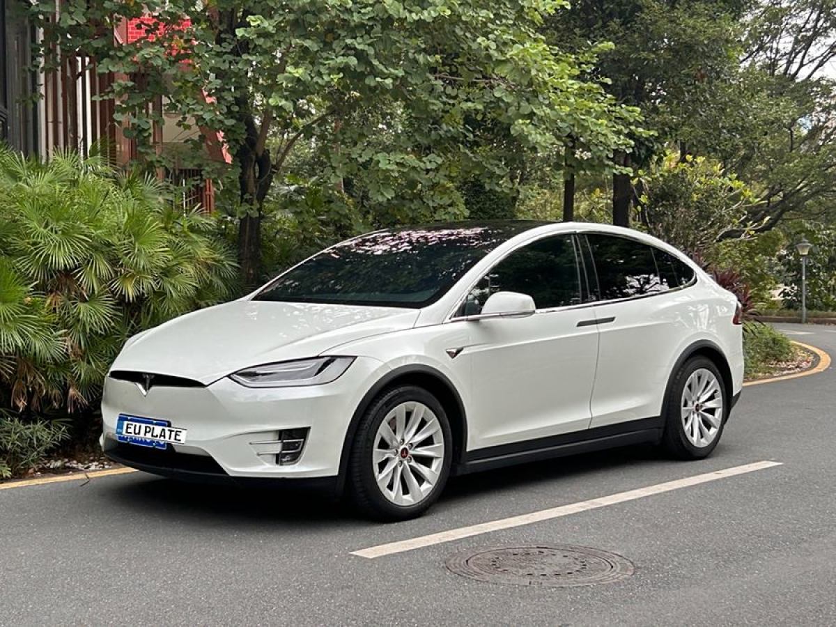 特斯拉 Model X  2016款 Model X 75D圖片