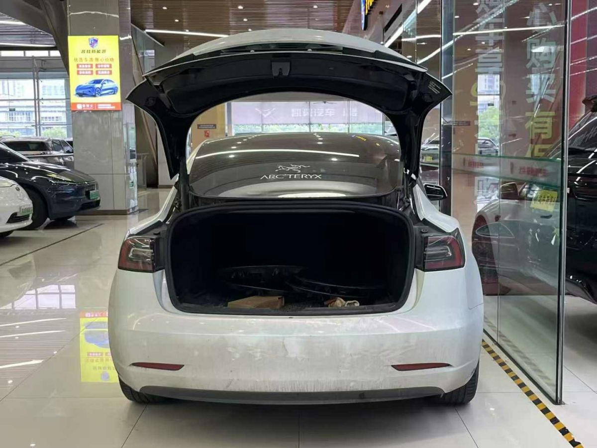 特斯拉 Model Y  2022款 Performance高性能全輪驅(qū)動版圖片