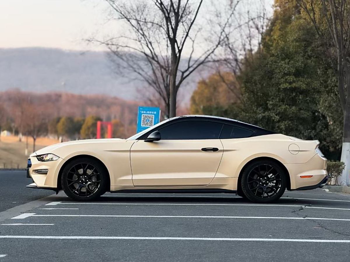 福特 Mustang  2020款 2.3L EcoBoost圖片