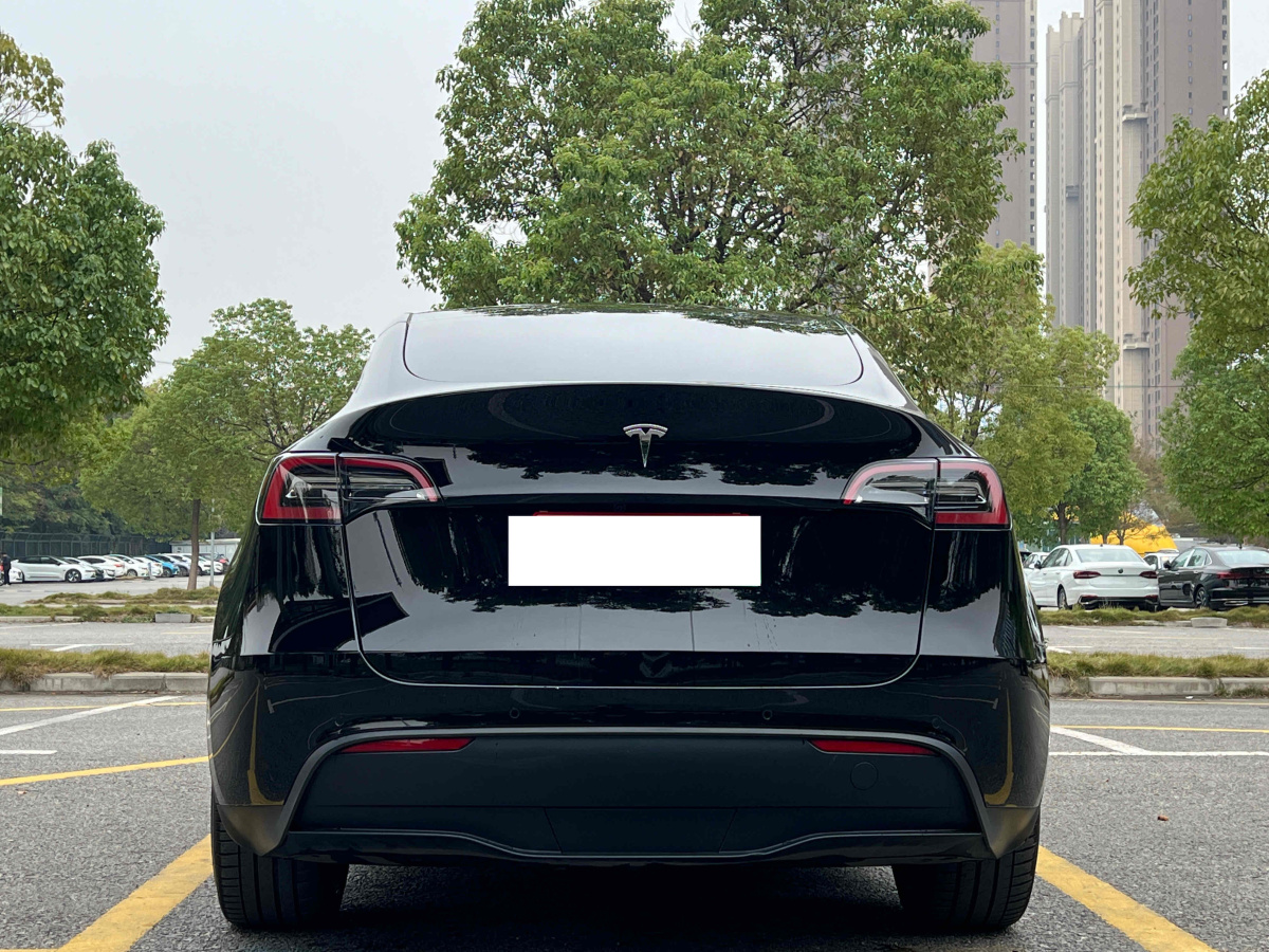 特斯拉 Model 3  2023款 長(zhǎng)續(xù)航煥新版 雙電機(jī)全輪驅(qū)動(dòng)圖片