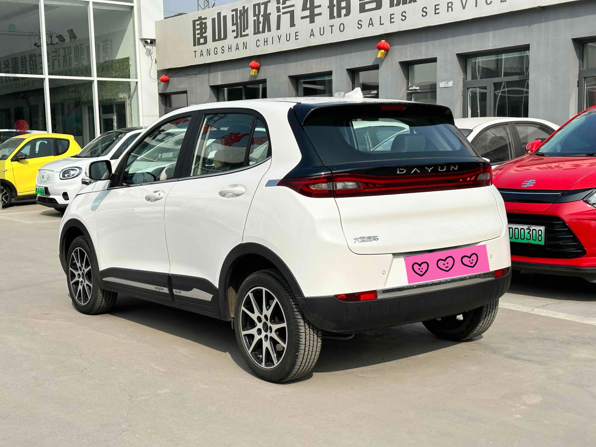 大運 悅虎  2021款 改款 32.85kWh 兩驅(qū)精靈版圖片