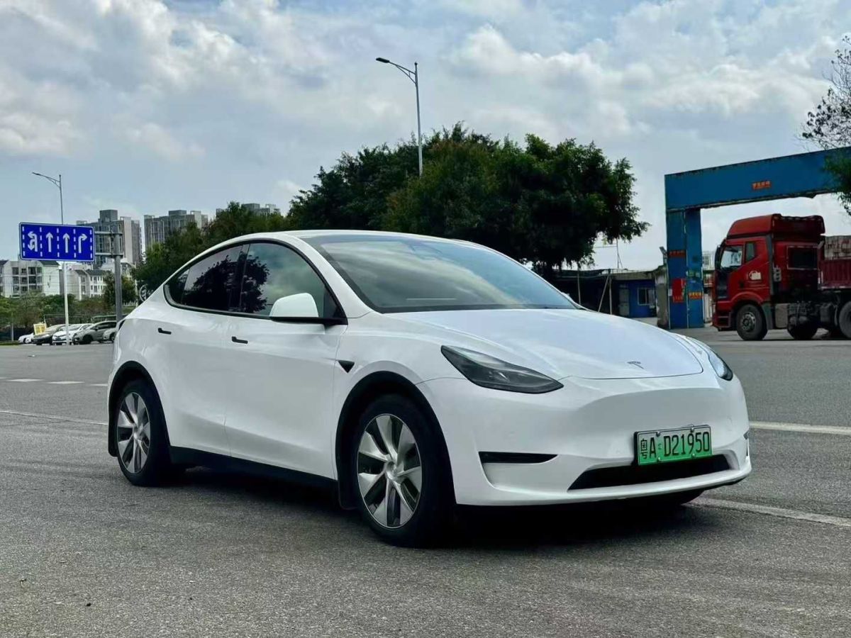 2022年1月特斯拉 Model 3  2022款 Performance高性能全輪驅動版