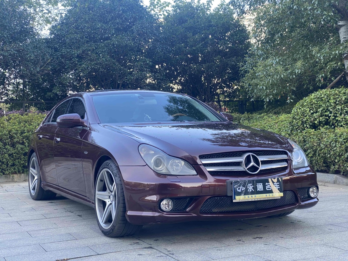 2010年12月奔馳 奔馳CLS級  2009款 CLS 350