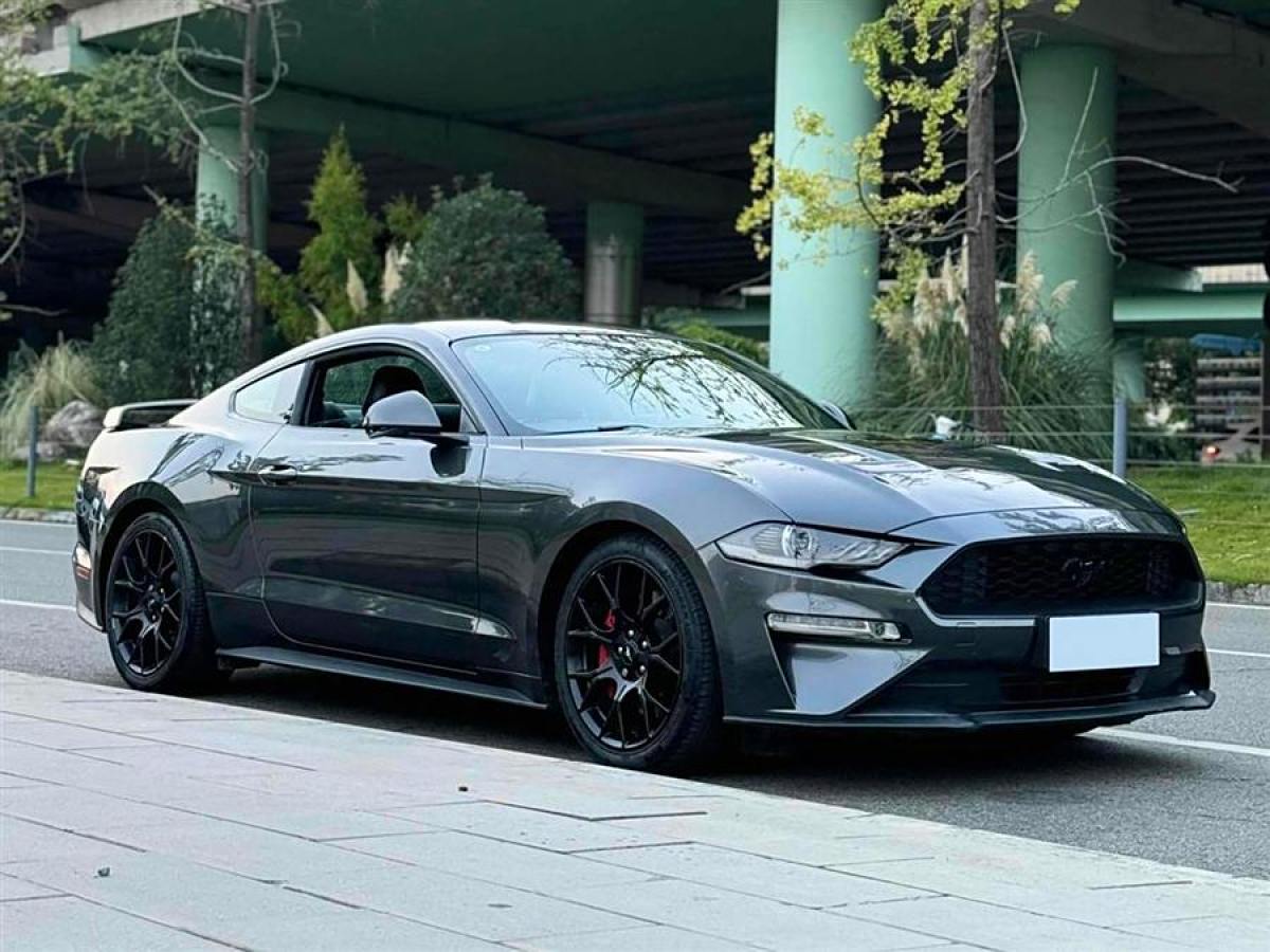 福特 Mustang  2019款 2.3L EcoBoost圖片