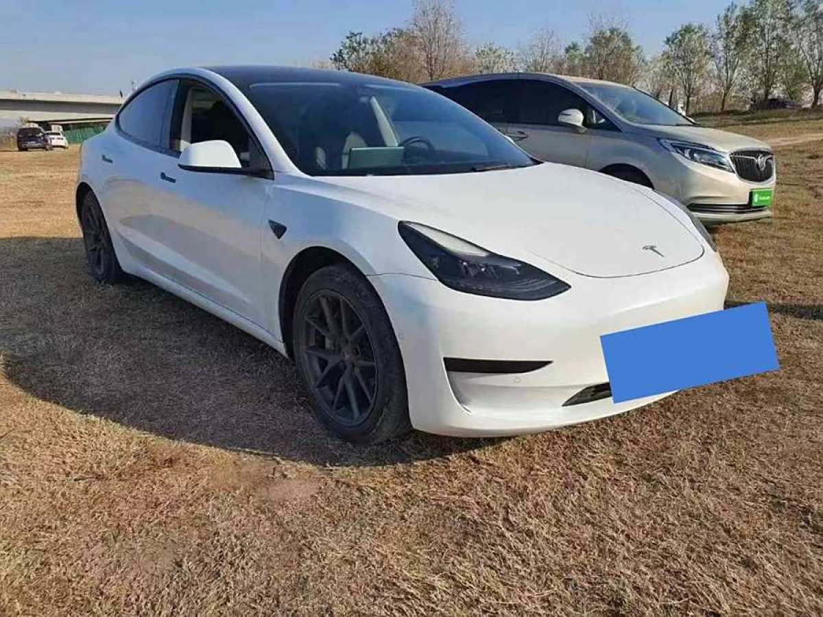 特斯拉 Model 3  2021款 改款 標(biāo)準(zhǔn)續(xù)航后驅(qū)升級(jí)版圖片