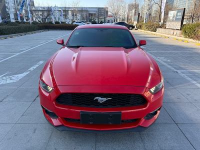 2018年1月 福特 Mustang(進(jìn)口) 2.3T 性能版圖片