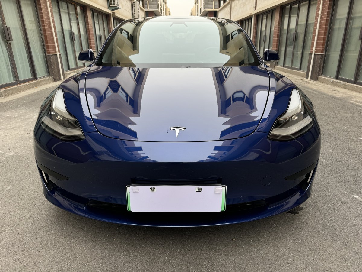 特斯拉 Model 3  2019款 標準續(xù)航后驅(qū)升級版圖片