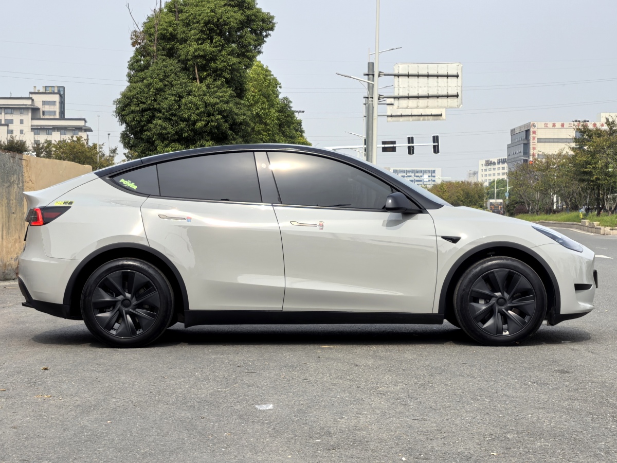 特斯拉 Model Y  2020款 改款 長(zhǎng)續(xù)航后輪驅(qū)動(dòng)版圖片