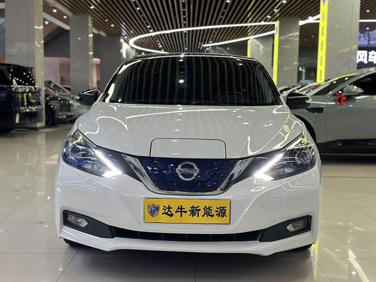 2019年6月日產(chǎn) 軒逸?純電  2018款 智尊版