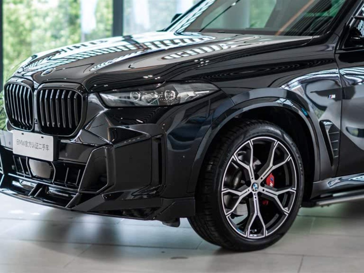 寶馬 寶馬X5  2023款 xDrive 30Li 尊享型M運(yùn)動套裝圖片