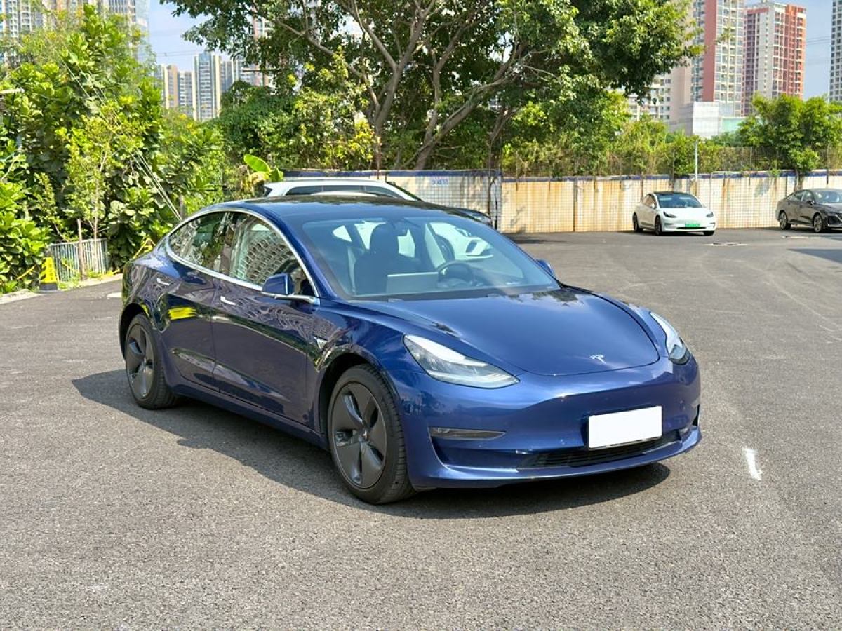 特斯拉 Model 3  2019款 長(zhǎng)續(xù)航后驅(qū)版圖片