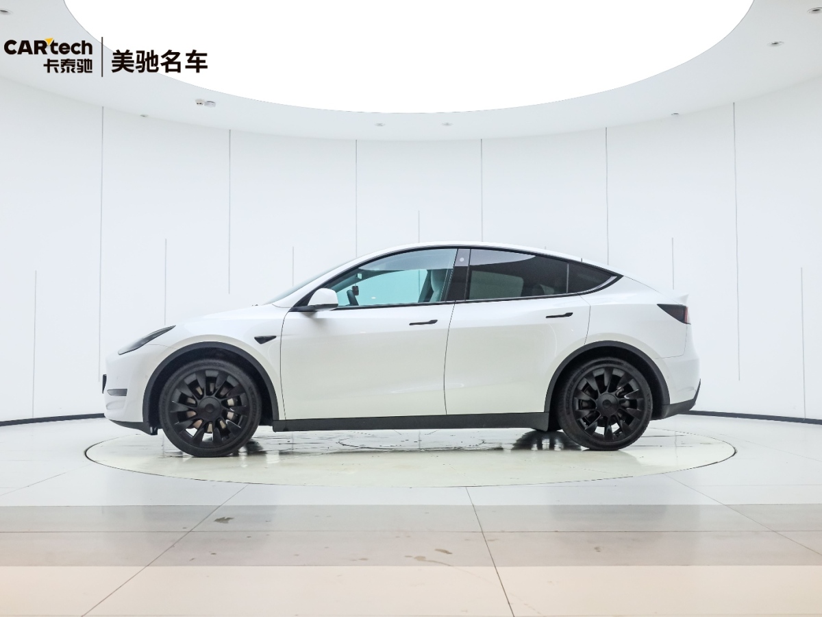 特斯拉 Model Y  2020款 Performance高性能全輪驅(qū)動版圖片