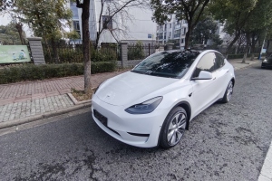 Model 3 特斯拉 后輪驅(qū)動版