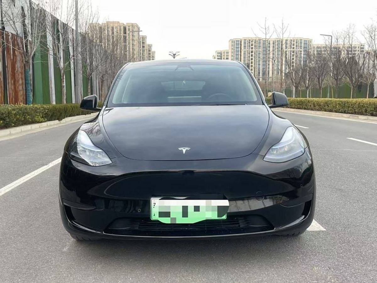 特斯拉 Model 3  2020款 改款 長續(xù)航后輪驅(qū)動版圖片